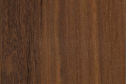 Raspberry jam (Acacia acuminata)