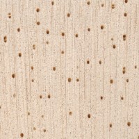 Balsa (endgrain 10x) Balsa (endgrain 10x)