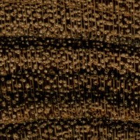 Bocote (endgrain 10x) Bocote (endgrain 10x)