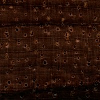 Brazilian Rosewood (endgrain 10x)