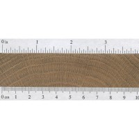 Brown Oak (endgrain) Brown Oak (endgrain)