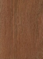 Bulletwood (Manilkara bidentata) Bulletwood (Manilkara bidentata)