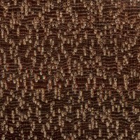 Bulletwood (endgrain 10x) Bulletwood (endgrain 10x)