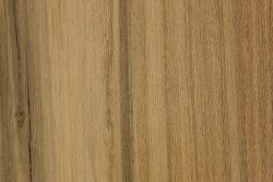 Afata (Cordia trichotoma)