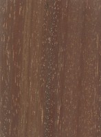 Ekki (Lophira alata) Ekki (Lophira alata)