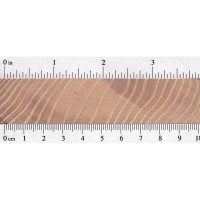 European Ash (endgrain) European Ash (endgrain)