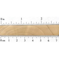 European Hornbeam (endgrain) European Hornbeam (endgrain)