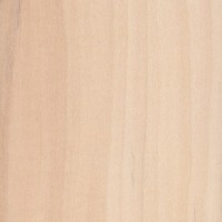 European Lime (Tilia x europaea) European Lime (Tilia x europaea)