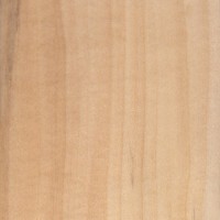 European Lime (sealed) European Lime (sealed)