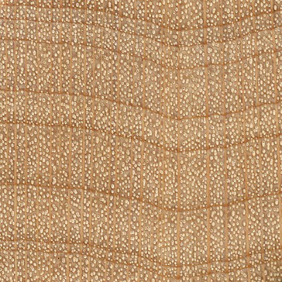 Hard Maple (endgrain 10x)