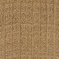European Hornbeam (endgrain 10x) European Hornbeam (endgrain 10x)