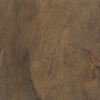 Imbuia (Ocotea porosa) Imbuia (Ocotea porosa)