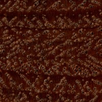 Jarrah (endgrain 10x)
