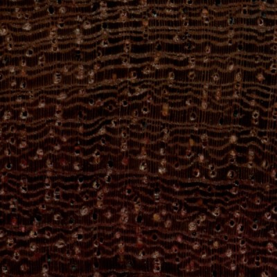 Katalox (endgrain 10x)