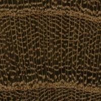 Laburnum (endgrain 10x) Laburnum (endgrain 10x)