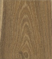 Laburnum (Laburnum anagyroides) Laburnum (Laburnum anagyroides)