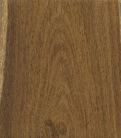 Laburnum (sealed) Laburnum (sealed)