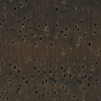 Leadwood (endgrain 10x) Leadwood (endgrain 10x)