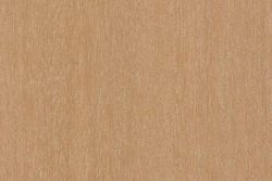 Abura (Mitragyna ledermannii)