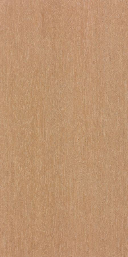 Abura (Mitragyna ledermannii)