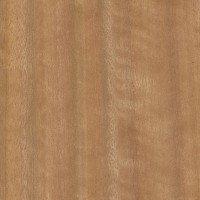 Mountain Ash (sealed) Mountain Ash (sealed)