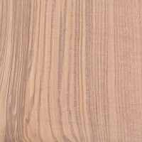 Olive Ash (sanded)