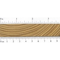 Osage Orange (endgrain) Osage Orange (endgrain)