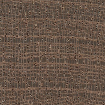 Sapele (endgrain 10x)