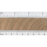 Wild Cherry (endgrain) Wild Cherry (endgrain)